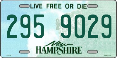 NH license plate 2959029