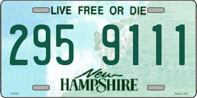 NH license plate 2959111