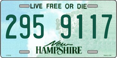 NH license plate 2959117