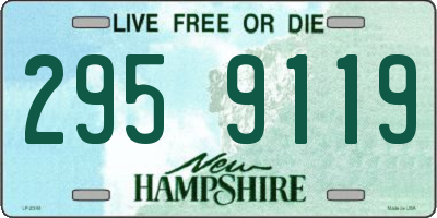 NH license plate 2959119