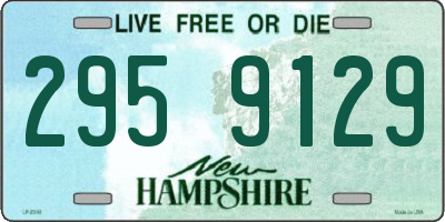 NH license plate 2959129