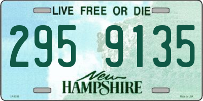 NH license plate 2959135
