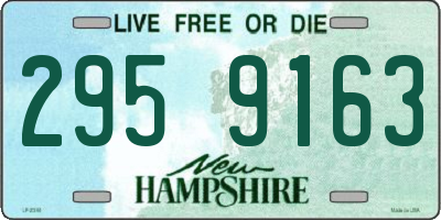 NH license plate 2959163