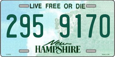 NH license plate 2959170