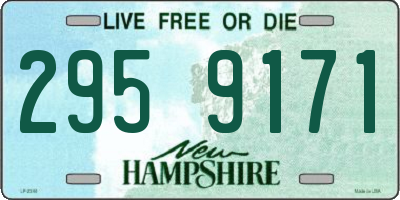 NH license plate 2959171