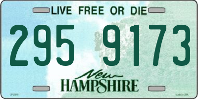 NH license plate 2959173