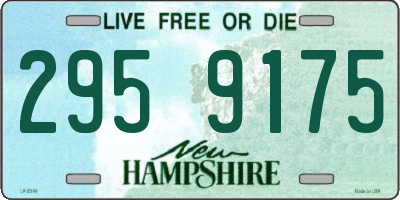 NH license plate 2959175