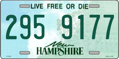 NH license plate 2959177