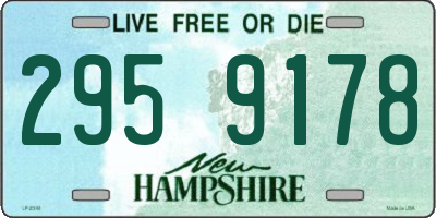 NH license plate 2959178