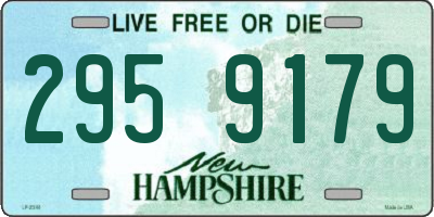 NH license plate 2959179