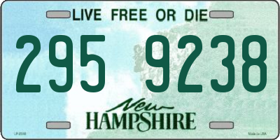 NH license plate 2959238