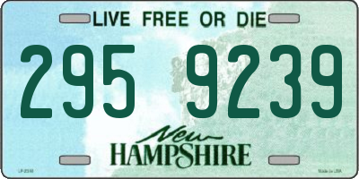 NH license plate 2959239