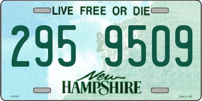 NH license plate 2959509