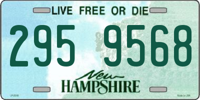 NH license plate 2959568