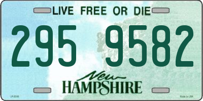 NH license plate 2959582