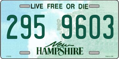 NH license plate 2959603