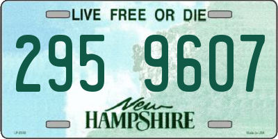 NH license plate 2959607