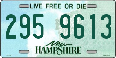 NH license plate 2959613