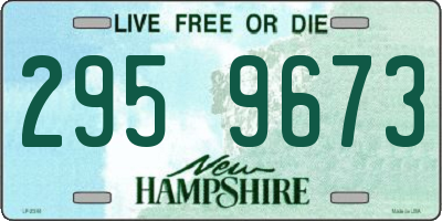 NH license plate 2959673