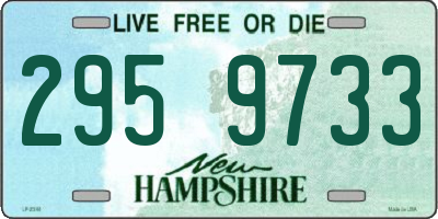 NH license plate 2959733