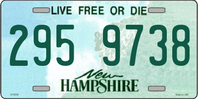 NH license plate 2959738