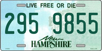 NH license plate 2959855