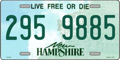 NH license plate 2959885
