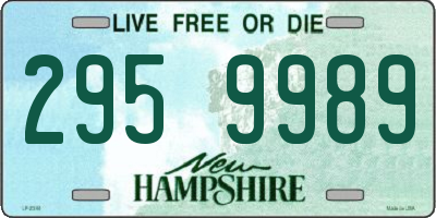 NH license plate 2959989
