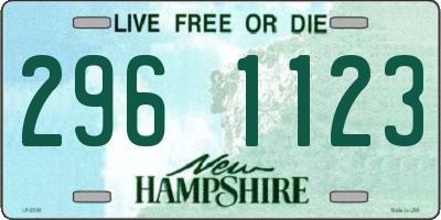 NH license plate 2961123