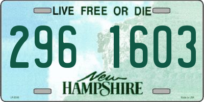 NH license plate 2961603