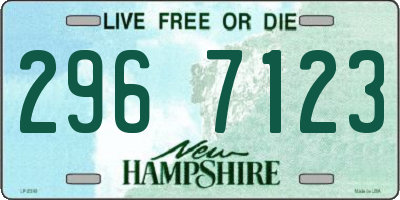 NH license plate 2967123