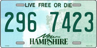 NH license plate 2967423