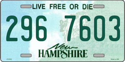 NH license plate 2967603