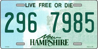 NH license plate 2967985