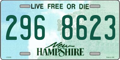 NH license plate 2968623