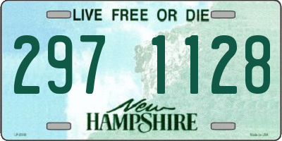 NH license plate 2971128