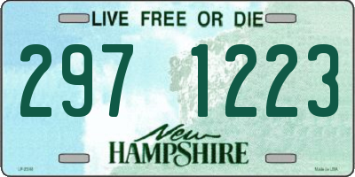 NH license plate 2971223