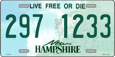 NH license plate 2971233