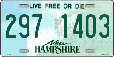 NH license plate 2971403