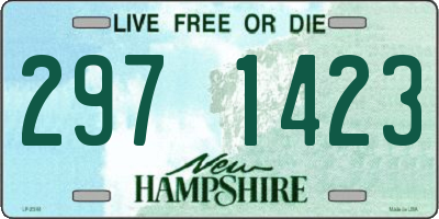 NH license plate 2971423