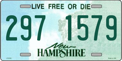 NH license plate 2971579