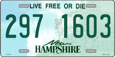 NH license plate 2971603