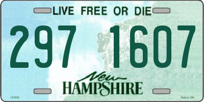 NH license plate 2971607