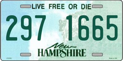 NH license plate 2971665
