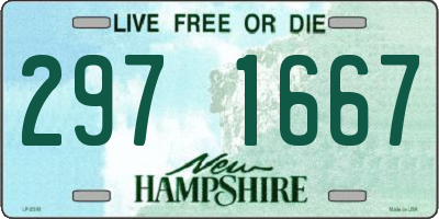 NH license plate 2971667