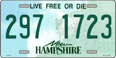 NH license plate 2971723