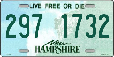 NH license plate 2971732