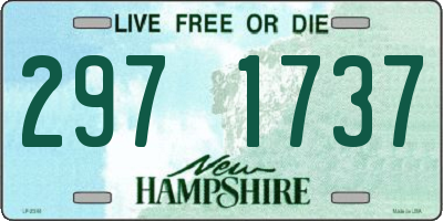 NH license plate 2971737
