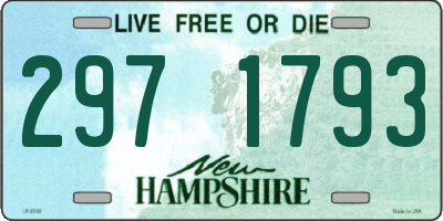 NH license plate 2971793