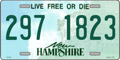 NH license plate 2971823